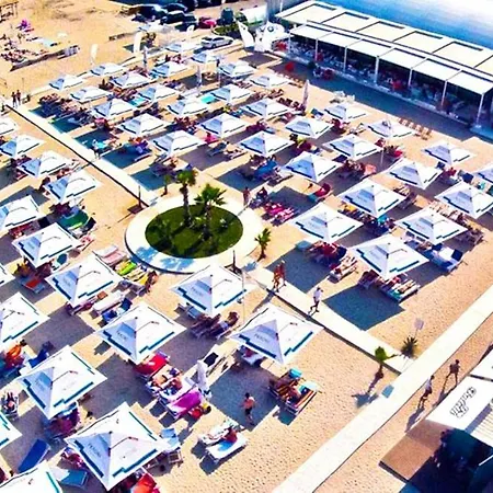 Coral Summer * Mamaia